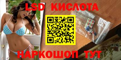 шишки Коммунар